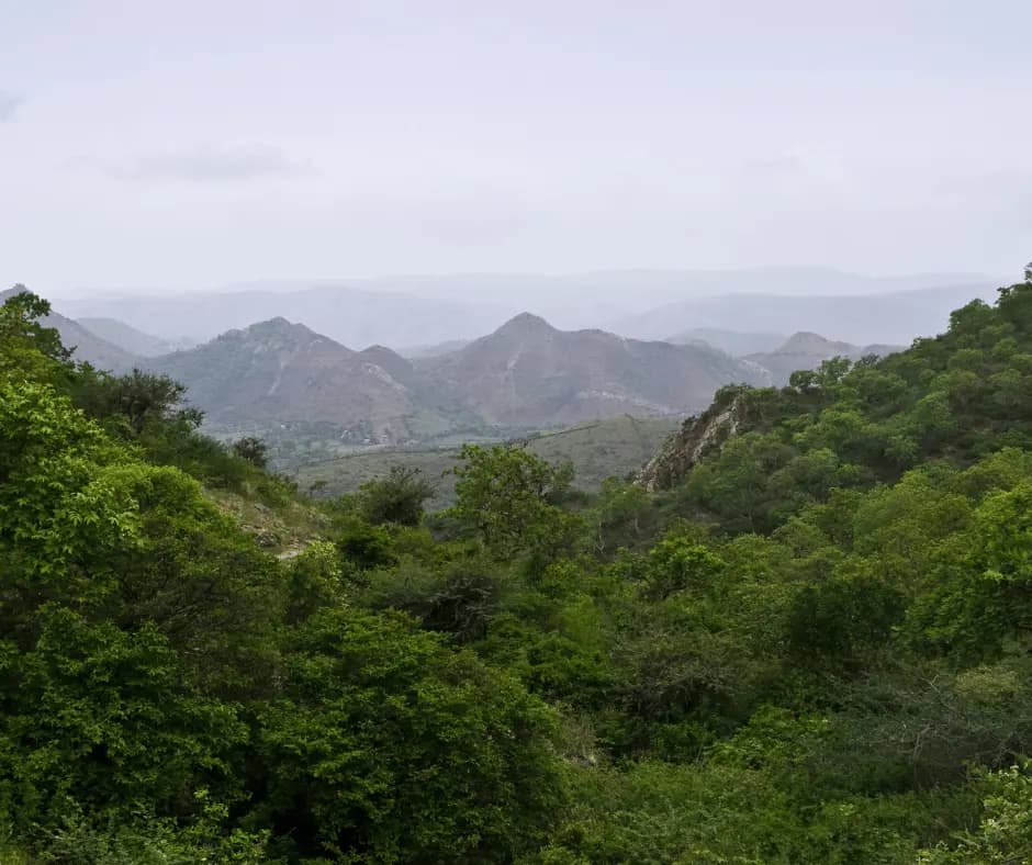 Rayta Hills