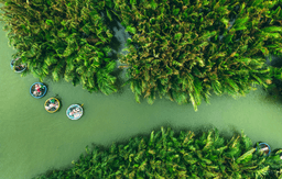 Marble Mountain, Coconut forest, & Hoi An village Tour