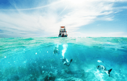 Coral Island Tour