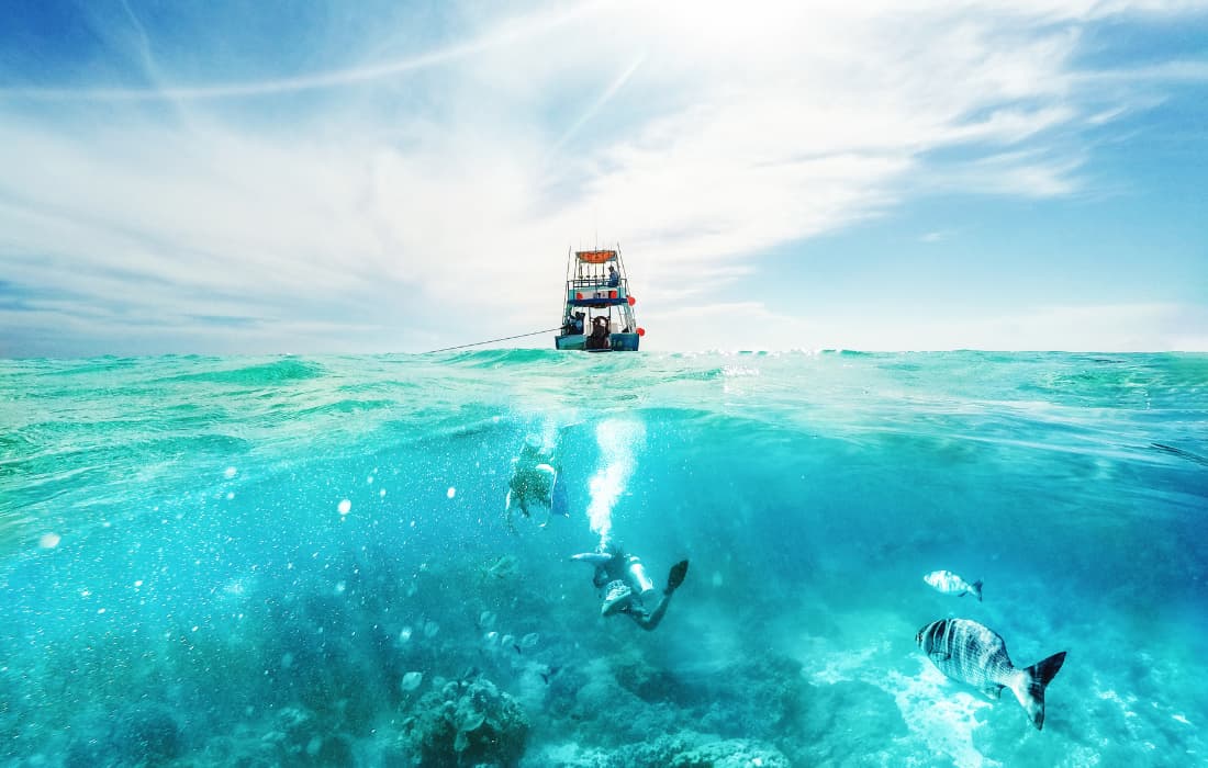 The Coral Island