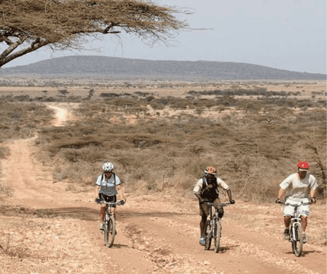 Lake Manyara Adventure & Cultural Experience