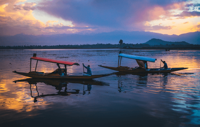 Sightseeing in Srinagar