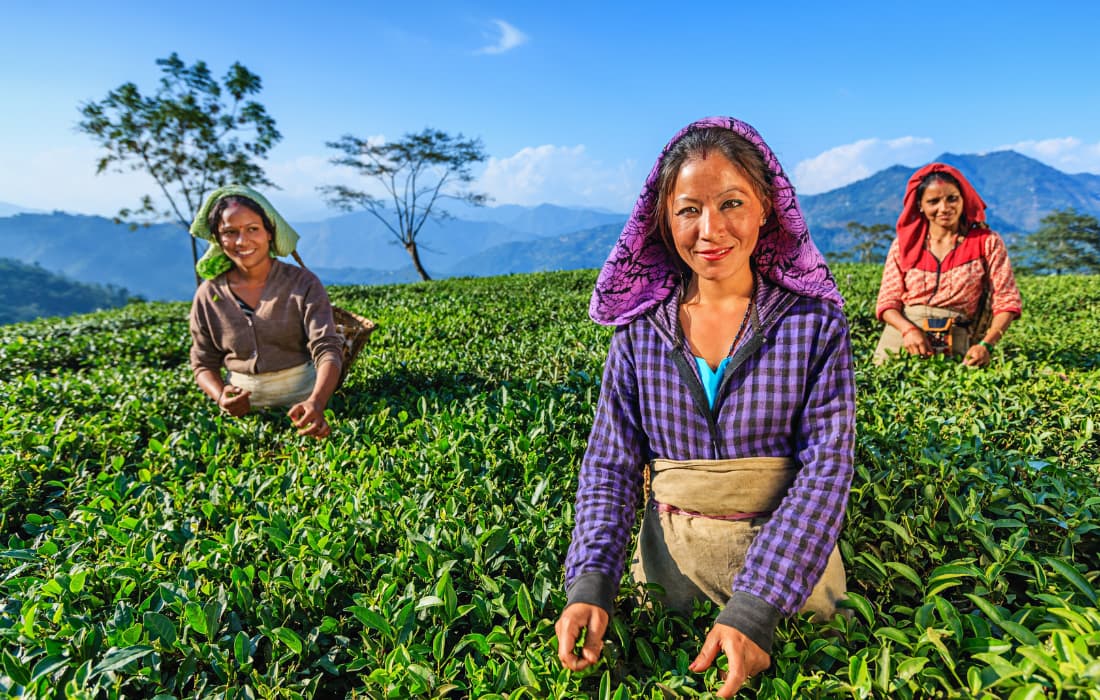 Darjeeling