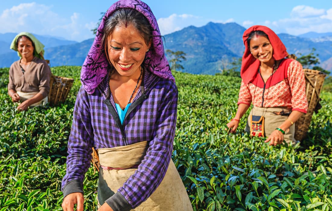 Darjeeling