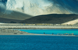 Day Trip to Pangong Lake
