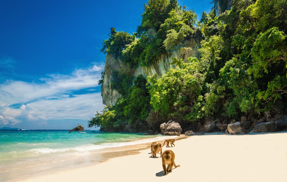 Monkey Beach