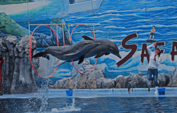 Day Trip to Safari World