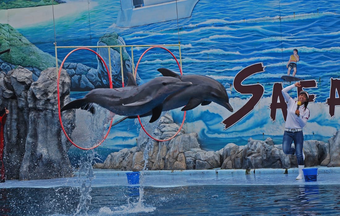 Marine Park Safari World