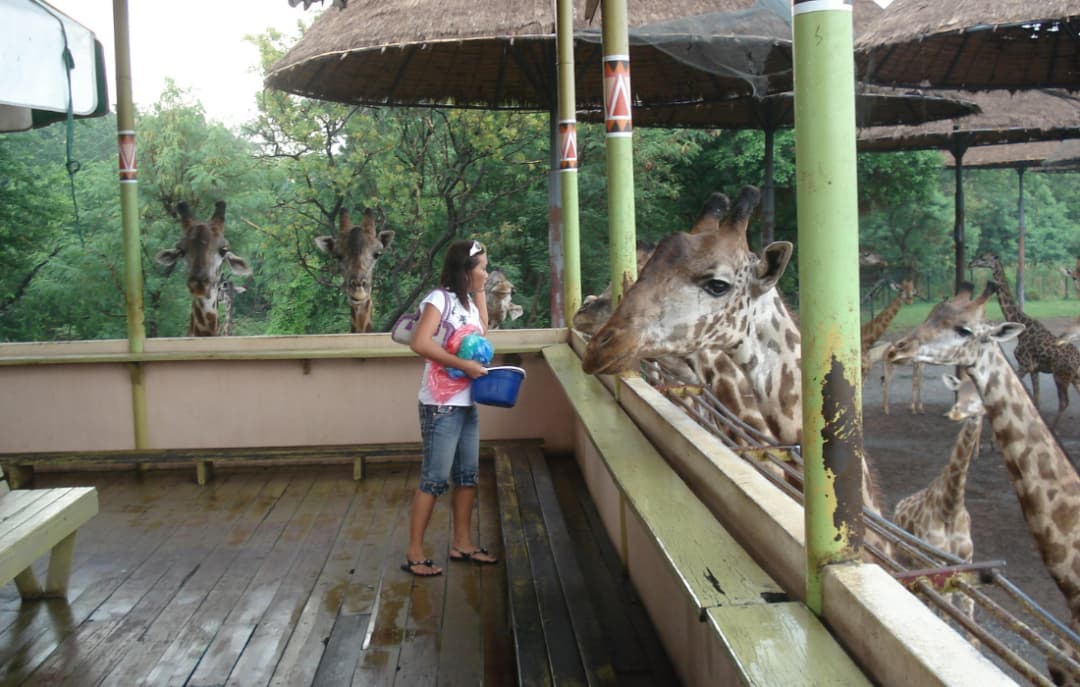 Safari World Zoo