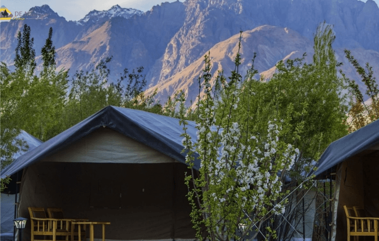 De Nubra Camp