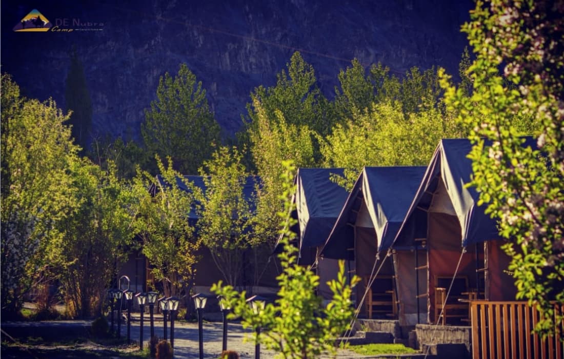 De Nubra Camp