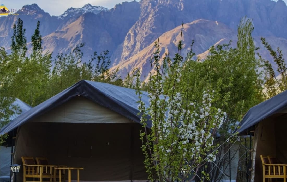 De Nubra Camp