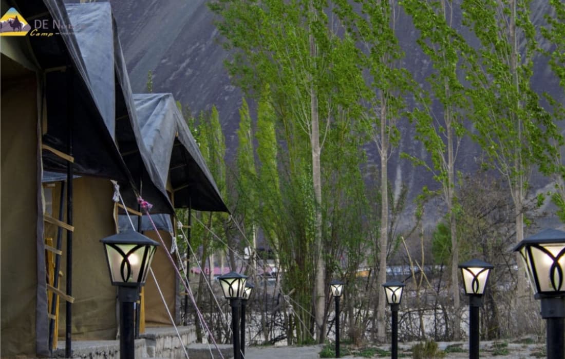 De Nubra Camp