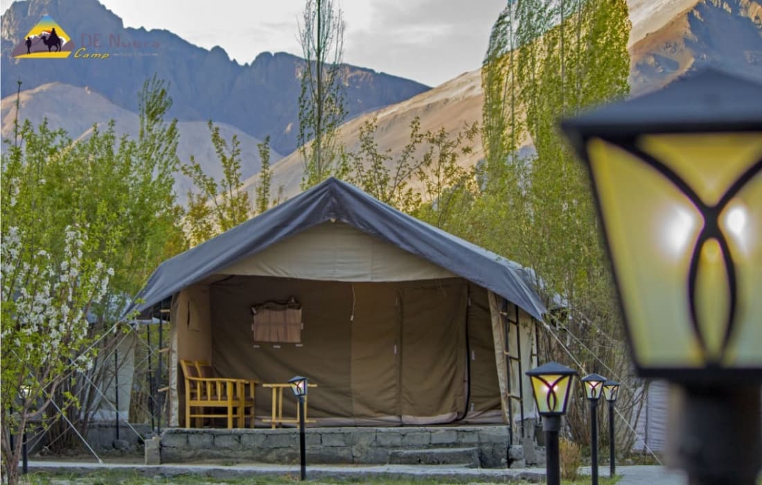 De Nubra Camp
