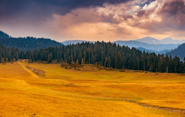 Day Trip to Doodhpathri