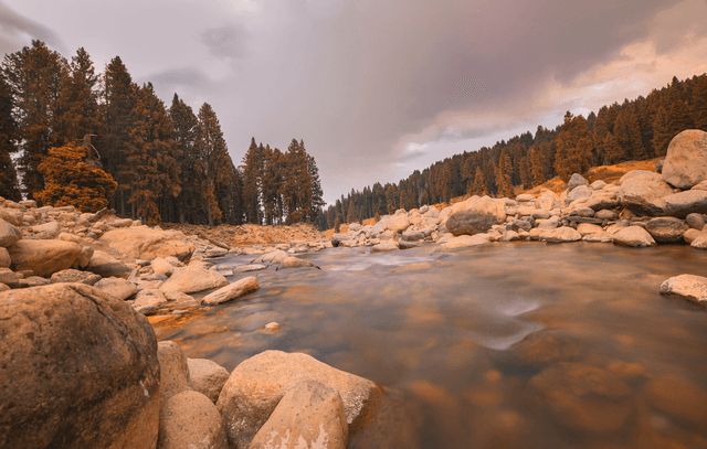 Day Trip to Doodhpathri