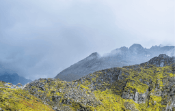 Scenic Drive from Dirang to Tawang