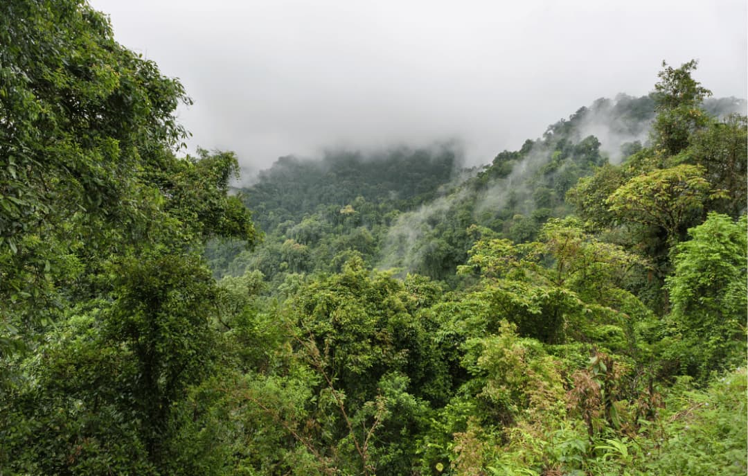 Dirang