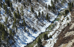 Drive from Shimla to Chitkul