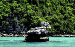 Halong Bay Overnight Cruise