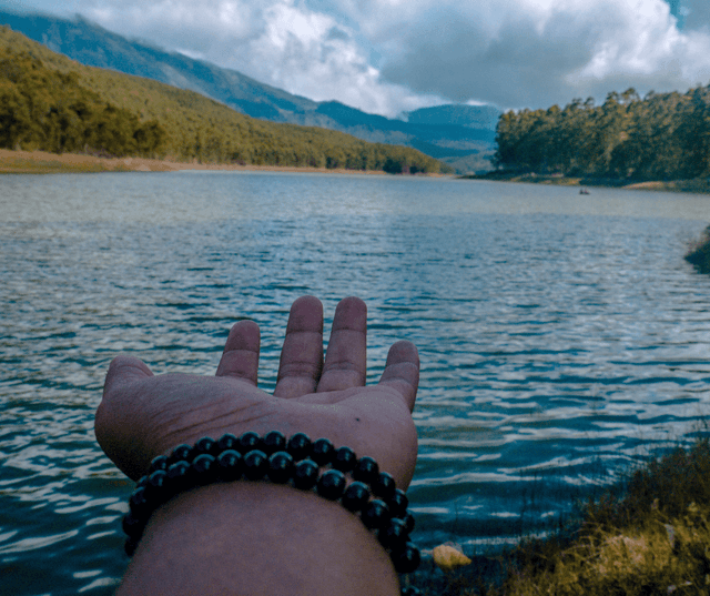 Munnar Hills & Nature Highlights Tour