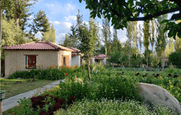 Eco Poplar