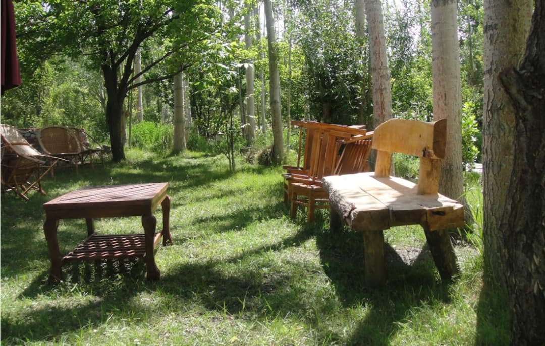 Eco Poplar