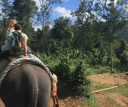 Thekkady Wildlife & Nature Tour