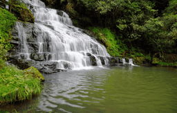 Trip to Elephanta Falls