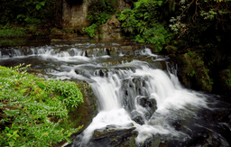 Trip to Elephanta Falls