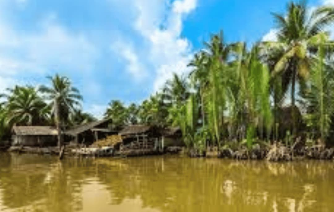 Tortoise Islet