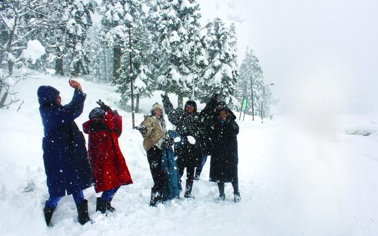 Kashmir