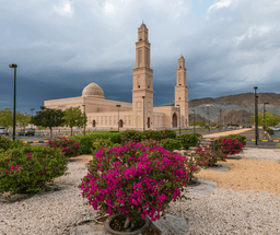 Full-Day Guided Tour of Jebel Akhdar & Heritage Villages