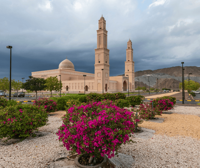 Full-Day Guided Tour of Jebel Akhdar & Heritage Villages