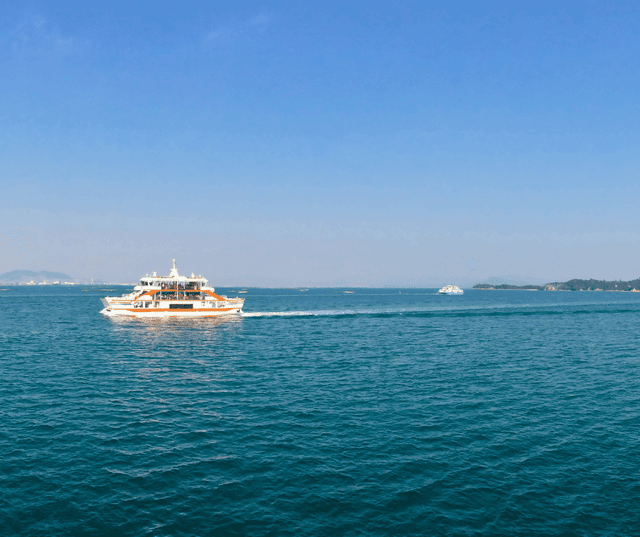 Ferry Excursion and Tour to Miyajima Island 