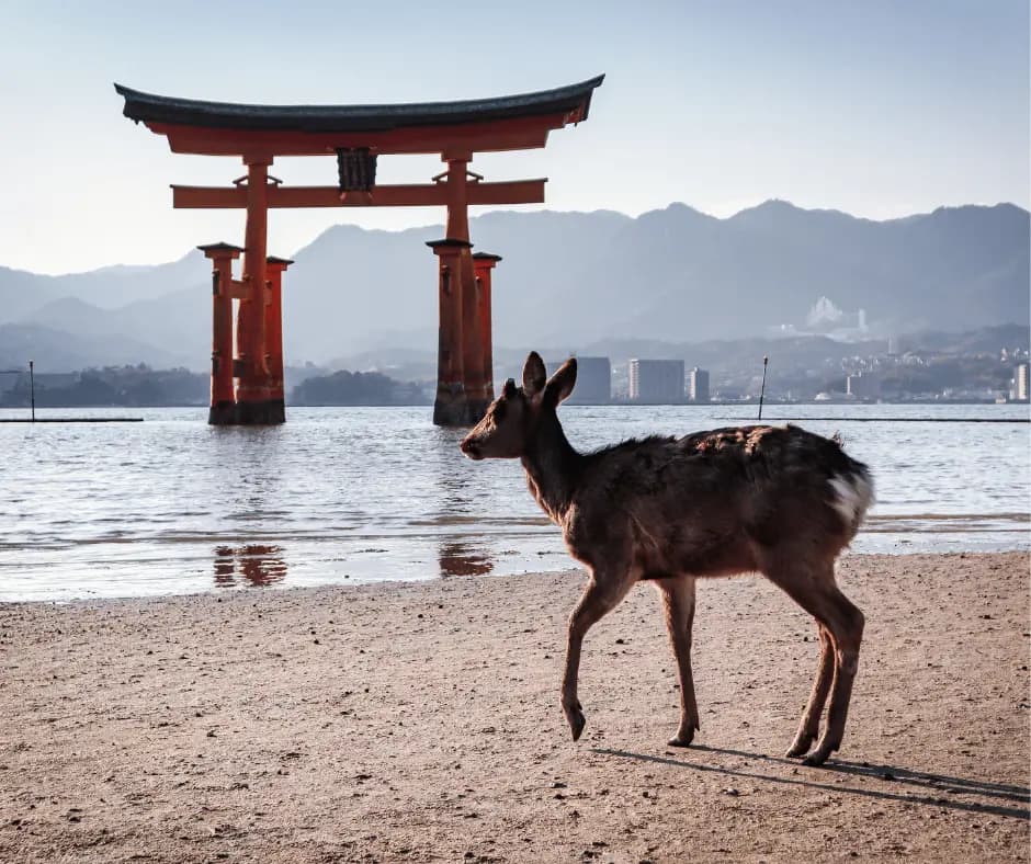 Floating Torii Gate 