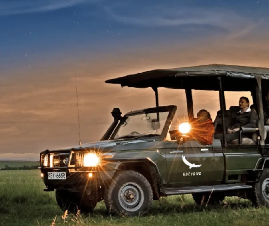 Night Game Drive