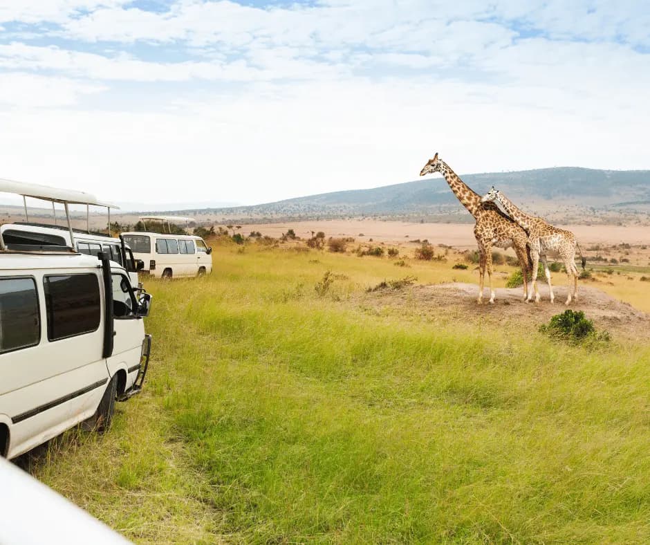 Game Drive
