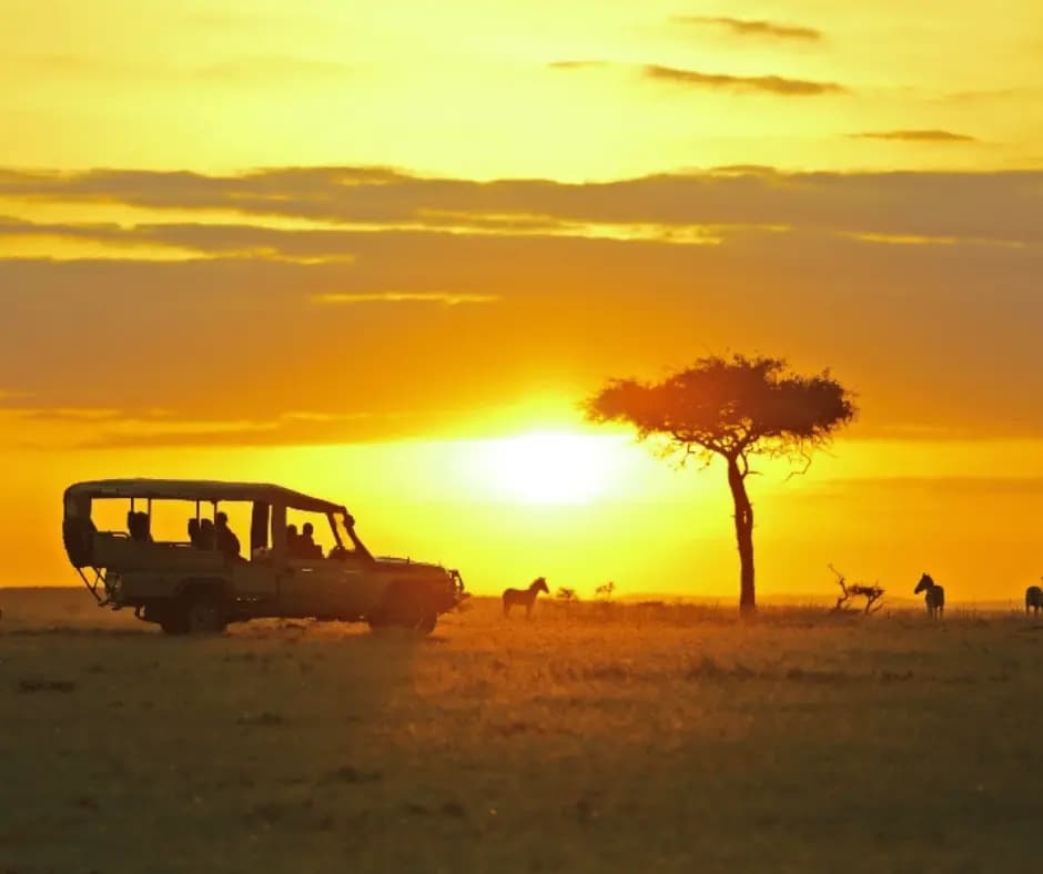 Game Drive