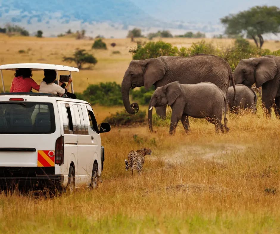 Game Drive