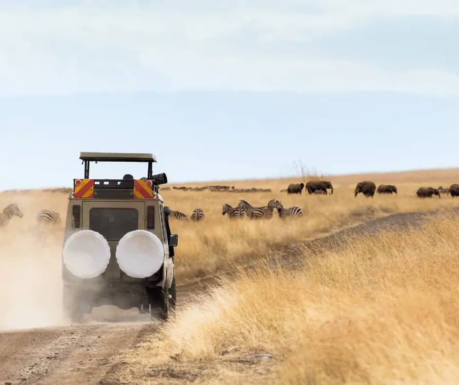 Game Drive