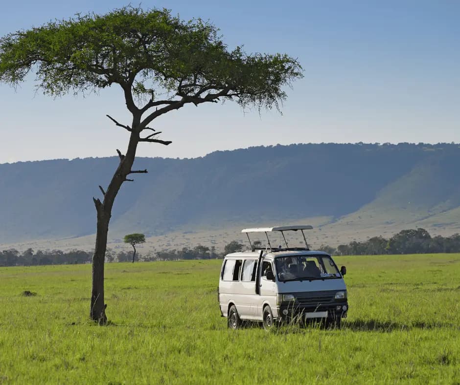 Game Drive
