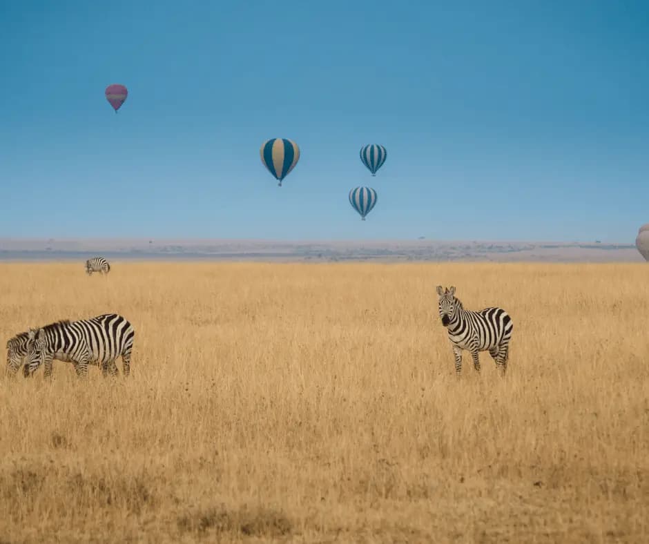 Hot Air Balloon Safari
