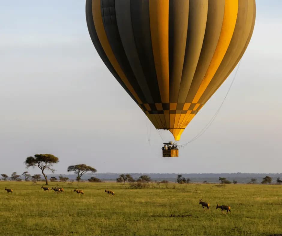 Hot Air Balloon Safari