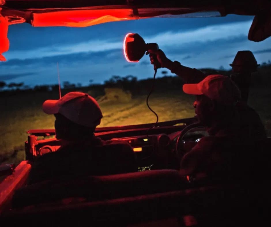 Night Game Drive