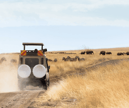 Full Day Adventure & Exploration in Masai Mara