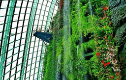 Gardens by the Bay Cloud Forest + Supertree Observatory