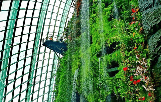 Gardens by the Bay Cloud Forest + Supertree Observatory