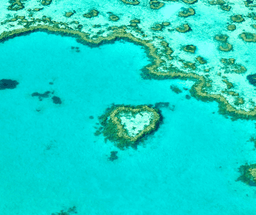 Discover the Wonders of the Great Barrier Reef