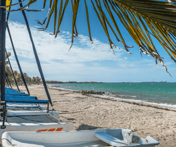 Discover the Wonders of the Great Barrier Reef